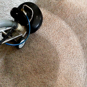 A person cleaning the carpet floor with a vacuum cleaner