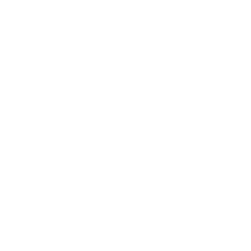 A white icon of a washer and a bag.